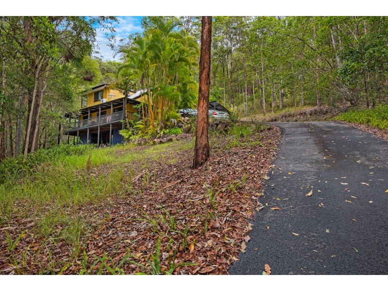 196 Wappa Falls Road, Yandina QLD 4561