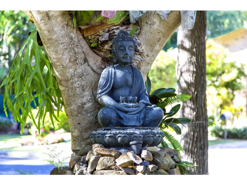 25 Booral Street, Buderim QLD 4556