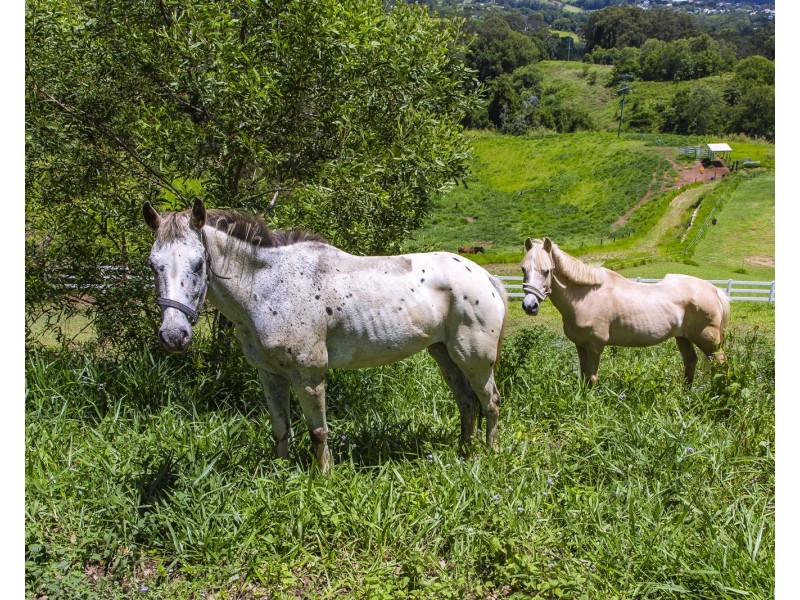 4-10 Pringle Road, Nambour QLD 4560