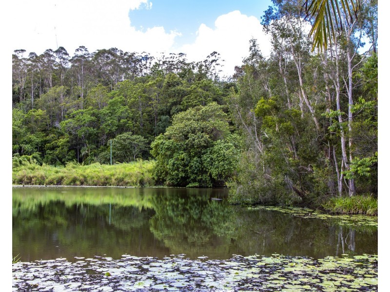 353 Blackall Range Road, West Woombye QLD 4559