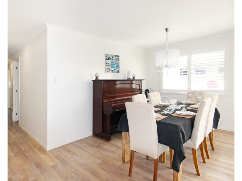 36 Petrel Crescent, Mountain Creek QLD 4557