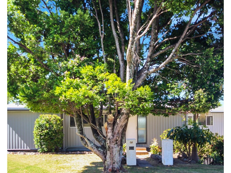 Alexandra Headland QLD 4572