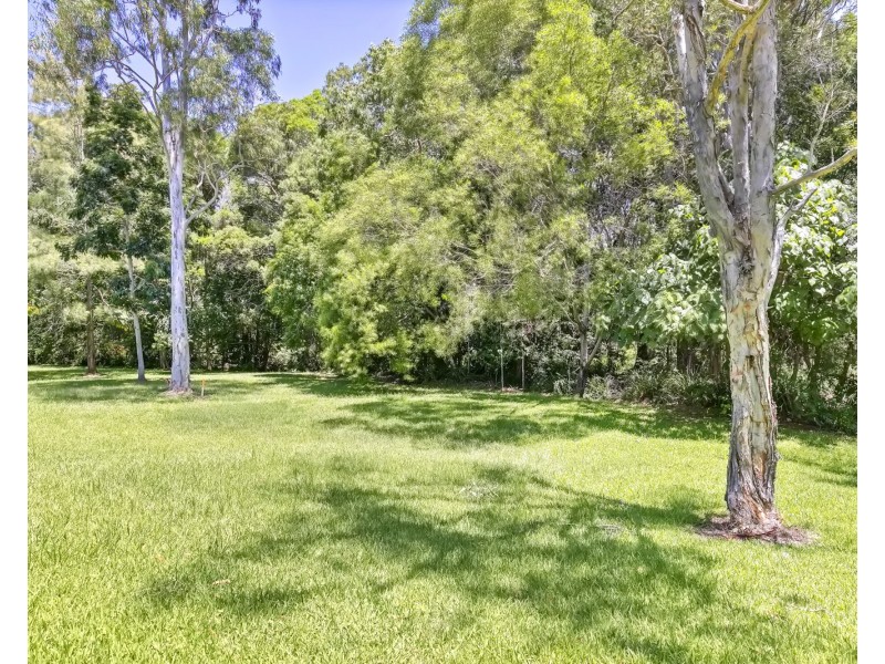 8 Adrian Close, Buderim QLD 4556