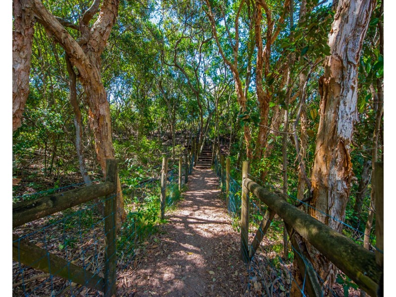 8 Bellbird Court, Wurtulla QLD 4575