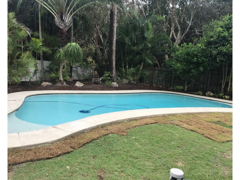 8 Bellbird Court, Wurtulla QLD 4575