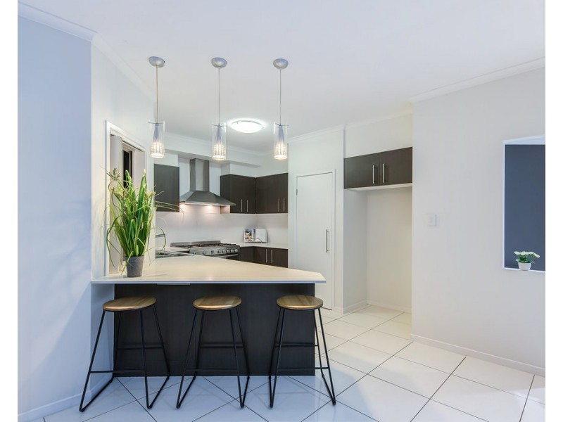 22 Skua Place, Mountain Creek QLD 4557