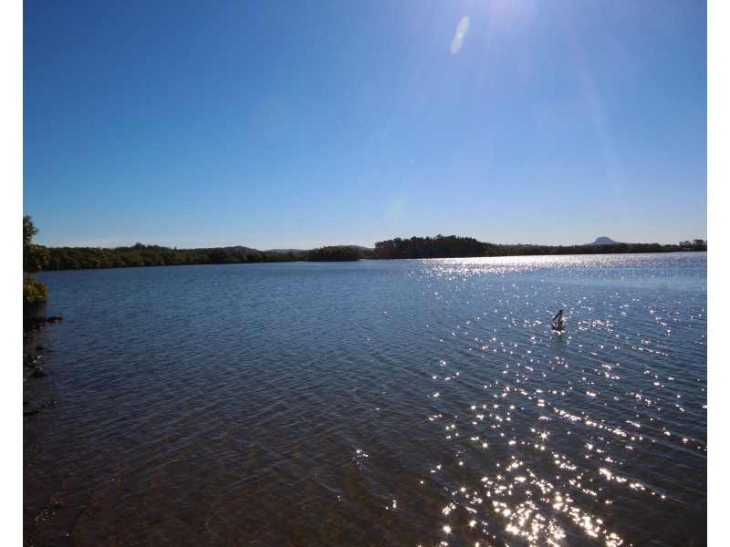 3/353 Bradman Avenue, Maroochydore QLD 4558