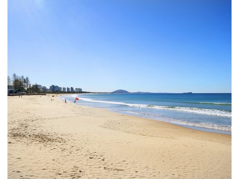 8/60 Edward Street, Alexandra Headland QLD 4572