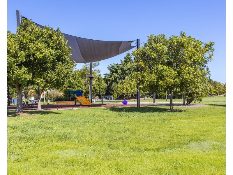 6 Quillback Court, Mountain Creek QLD 4557