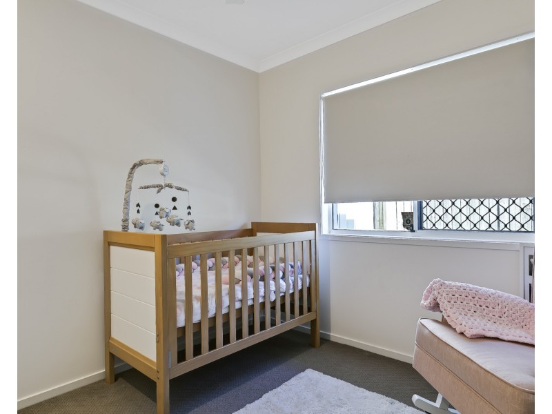 65 Frogmouth Circuit, Mountain Creek QLD 4557