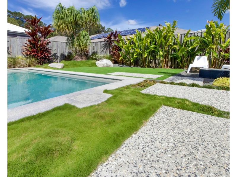 15 Spoonbill Drive, Forest Glen QLD 4556