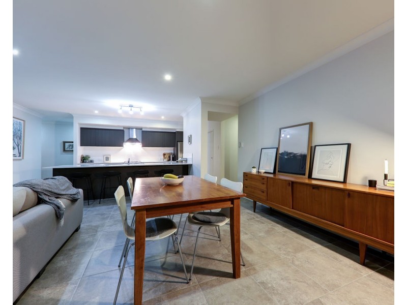 15 Spoonbill Drive, Forest Glen QLD 4556