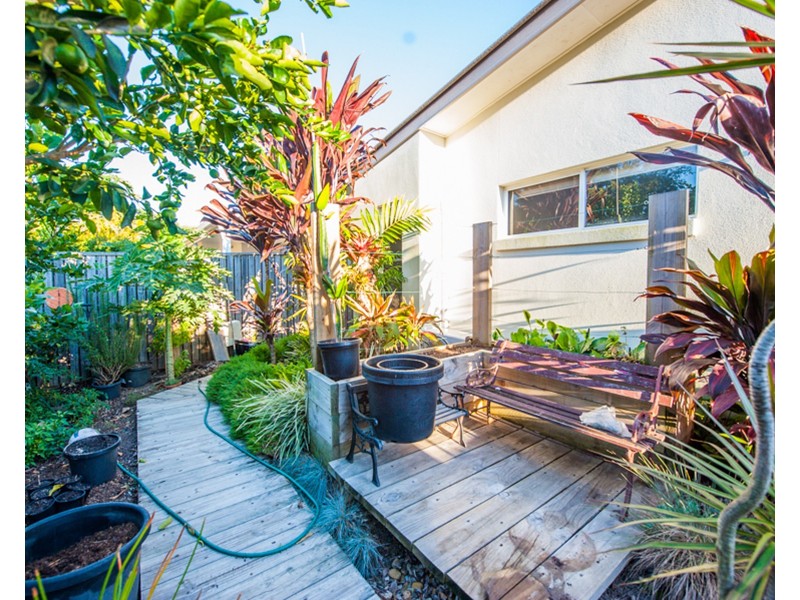 33 Peppertree Circuit, Maroochydore QLD 4558