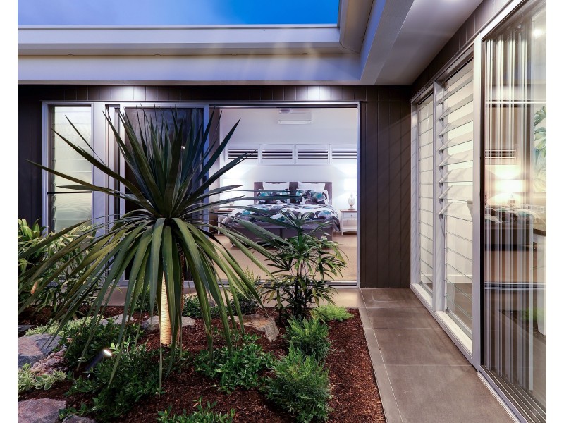 19  Pannaroo Street, Buddina QLD 4575