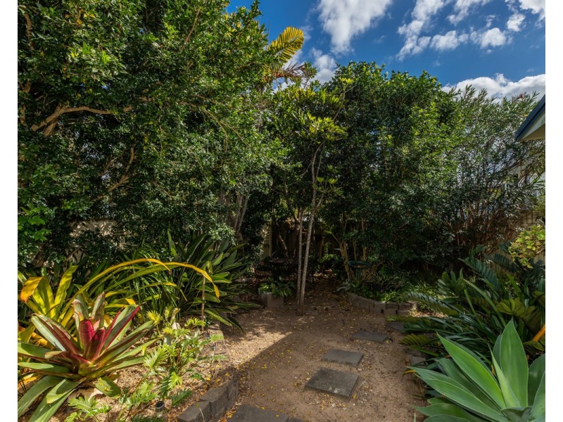 36  Ridge Road, Maroochydore QLD 4558