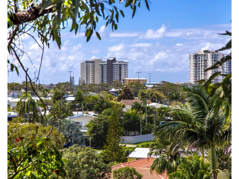66 Wrigley Street, Maroochydore QLD 4558