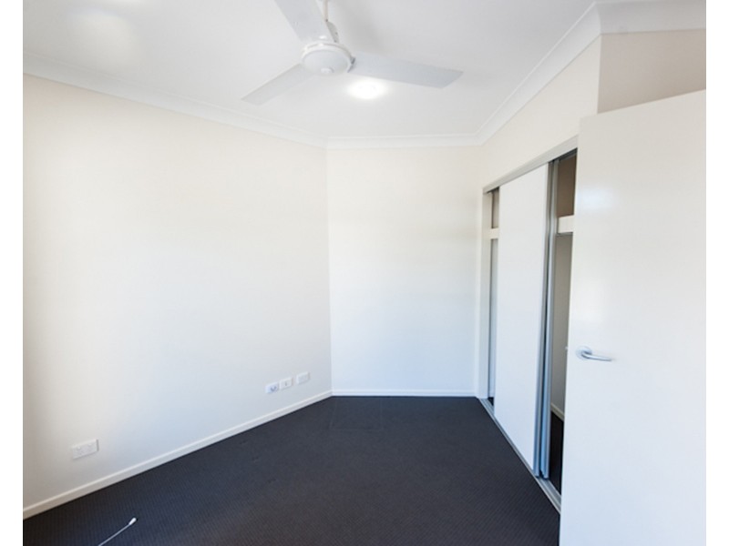 50 Petigrain Avenue, Palmwoods QLD 4555