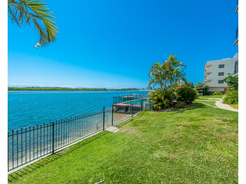 91/150 Duporth Avenue, Maroochydore QLD 4558