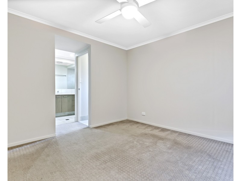 14 Tarwhine Place, Mountain Creek QLD 4557