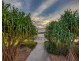 40 Hillsborough Circuit, Mountain Creek QLD 4557