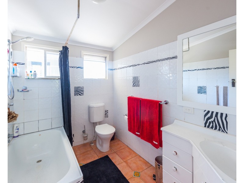 66  Oogar St, Alexandra Headland QLD 4572