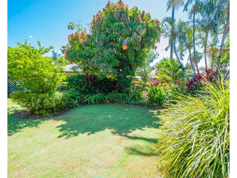 66  Oogar St, Alexandra Headland QLD 4572