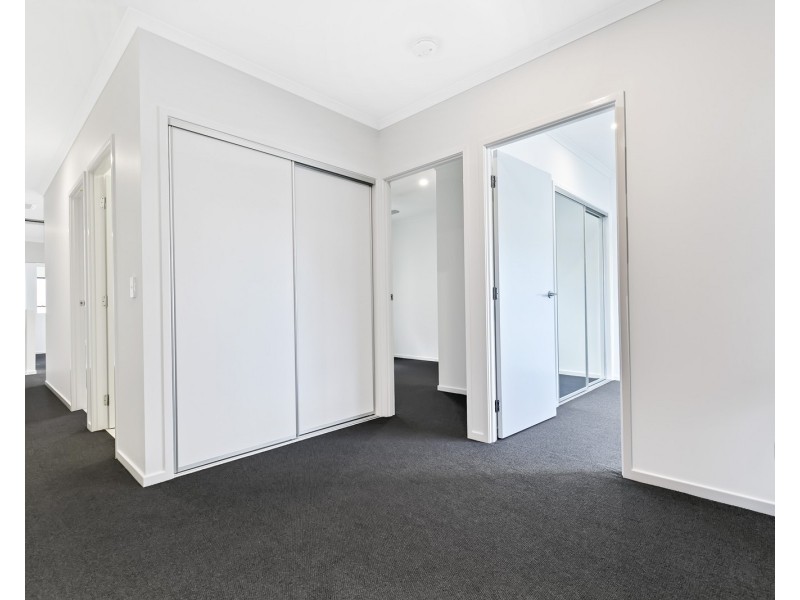 17 Greenview Terrace, Palmview QLD 4553