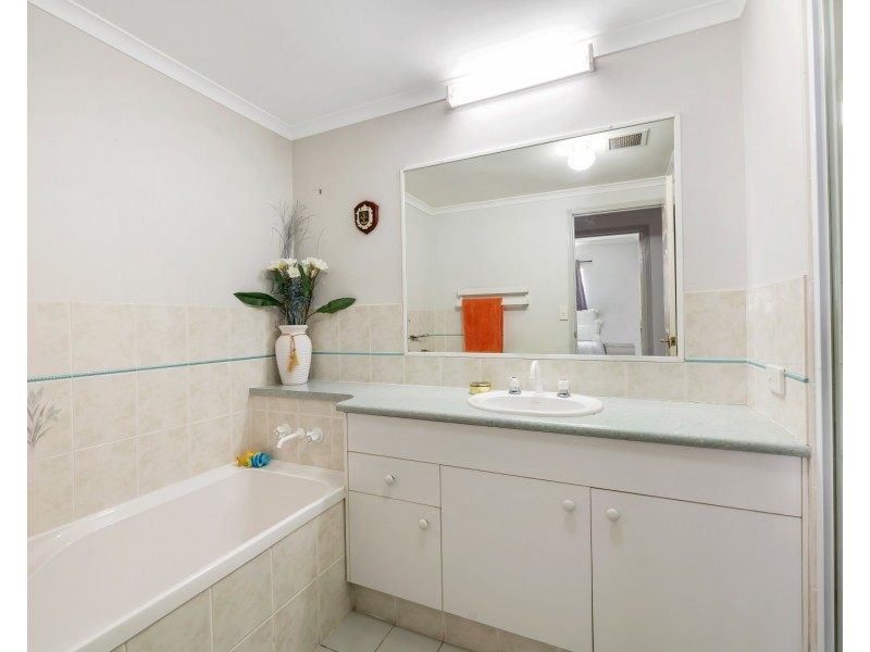 2/97-99 Bradman Avenue, Maroochydore QLD 4558