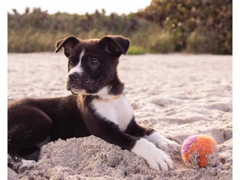 536  Nicklin Way, Wurtulla QLD 4575