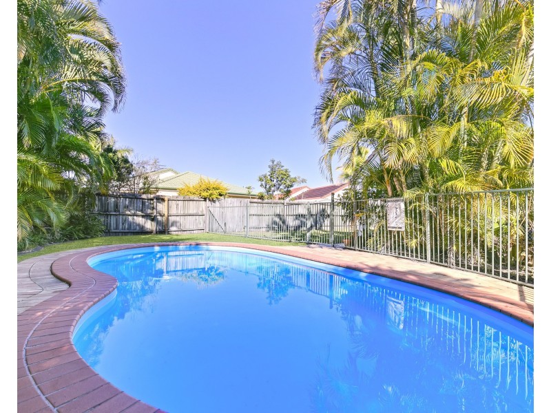 11 Meisner Court, Mountain Creek QLD 4557