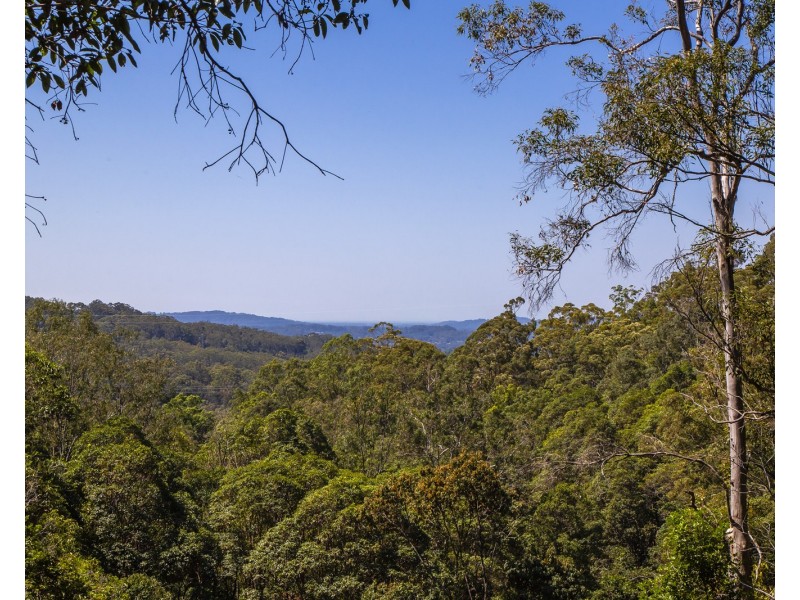 217 Kirby Road, Montville QLD 4560