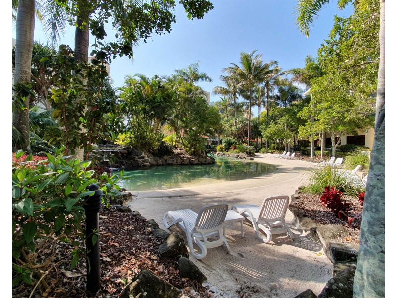 434/21  Wirraway Street, Alexandra Headland QLD 4572