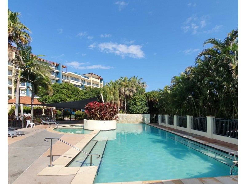 434/21  Wirraway Street, Alexandra Headland QLD 4572