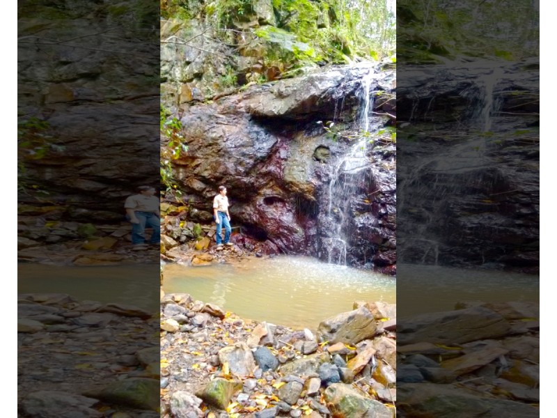 145 Kirby Road, Montville QLD 4560