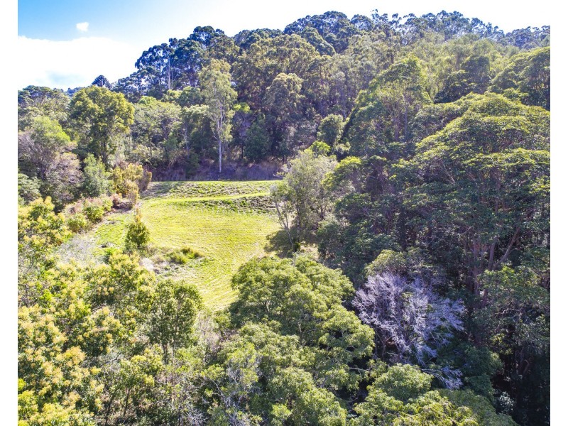 145 Kirby Road, Montville QLD 4560