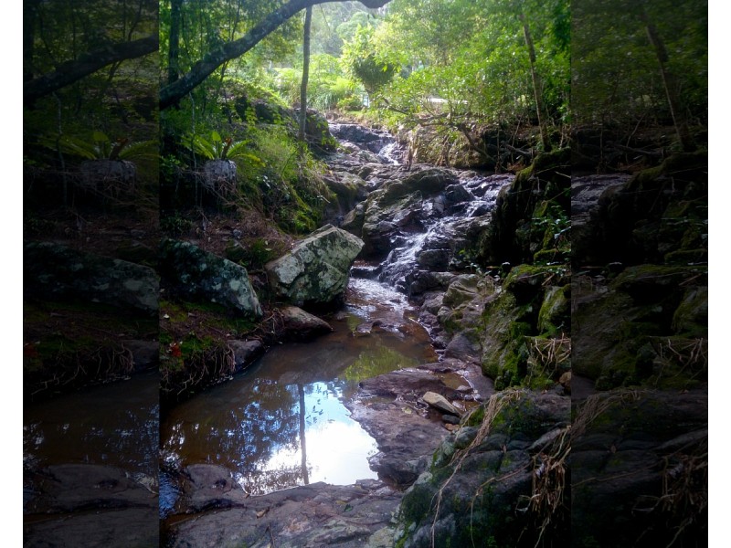 145 Kirby Road, Montville QLD 4560