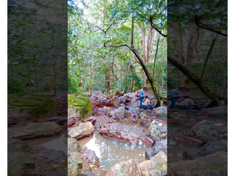 145 Kirby Road, Montville QLD 4560