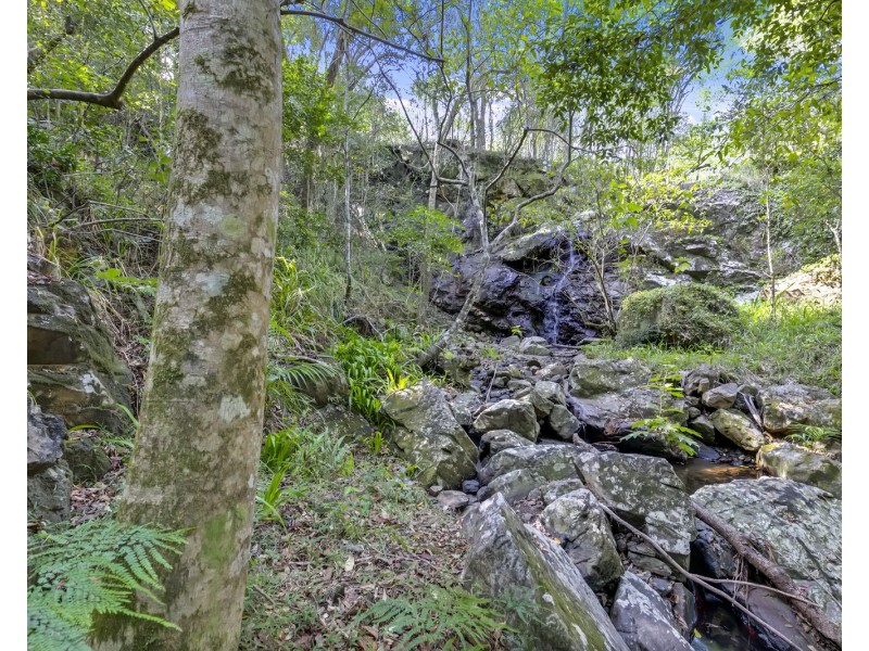 145 Kirby Road, Montville QLD 4560