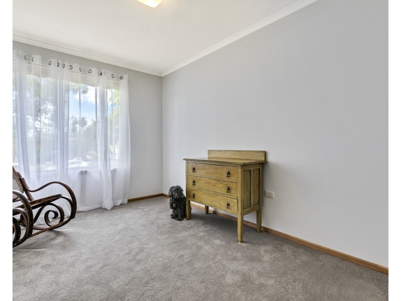 7 Blanck Street, Maroochydore QLD 4558