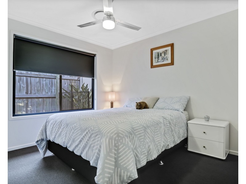 14  Flindersia Place, Mountain Creek QLD 4557