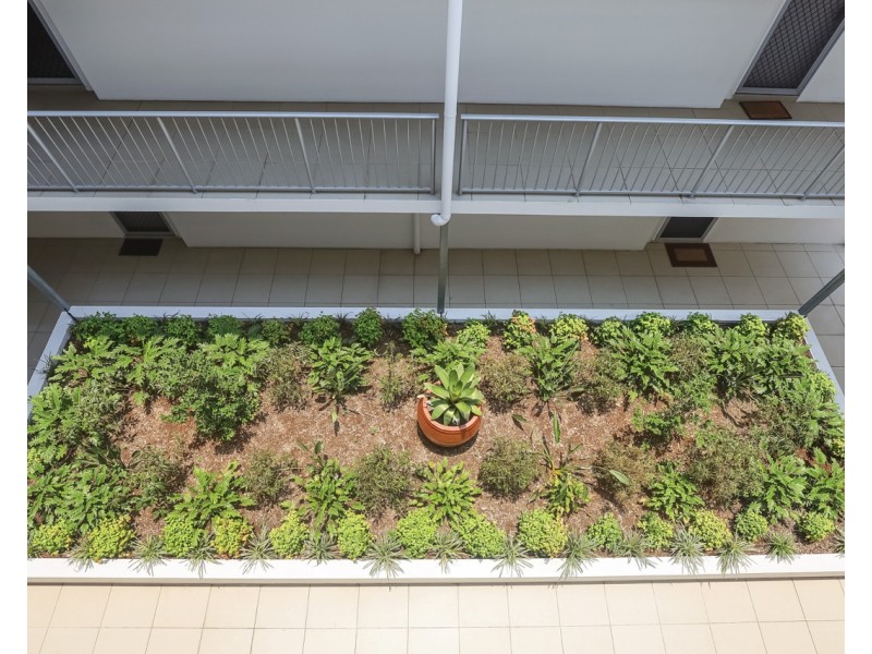 54/40 Primary School Court, Maroochydore QLD 4558