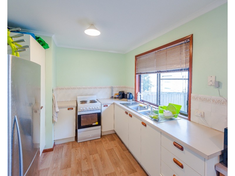 17 Tarnkun Street, Alexandra Headland QLD 4572