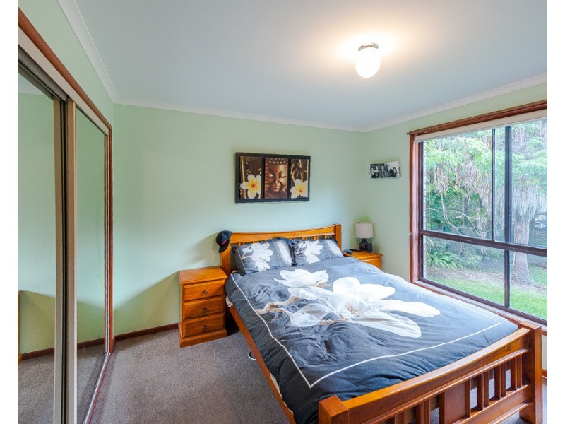 17 Tarnkun Street, Alexandra Headland QLD 4572