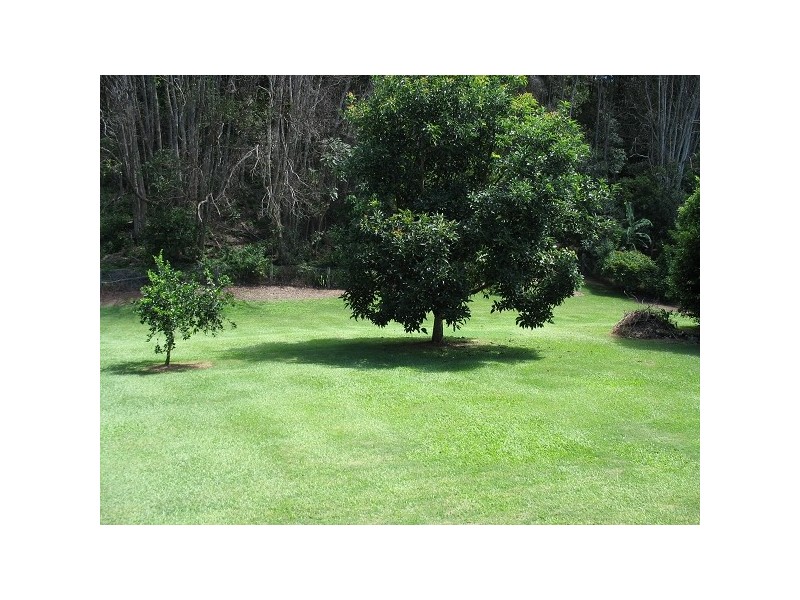 50 Smiths Creek Rd, Uki NSW 2484