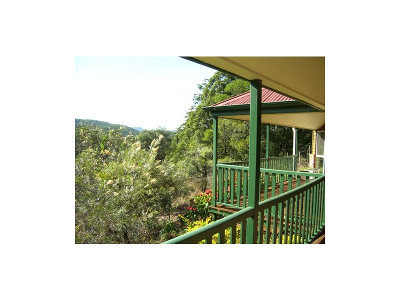 646 Hopkins Creek Road, Hopkins Creek NSW 2484