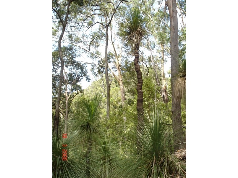 Crabbes Creek NSW 2483