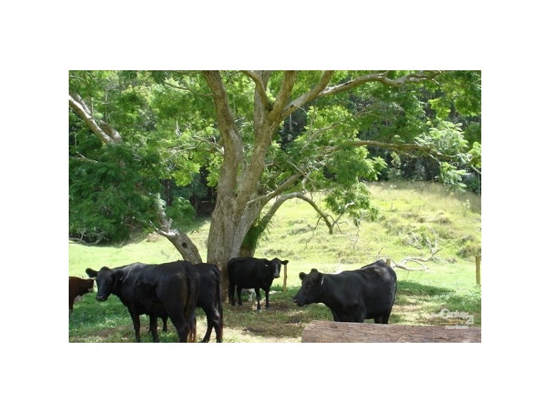 Crabbes Creek NSW 2483