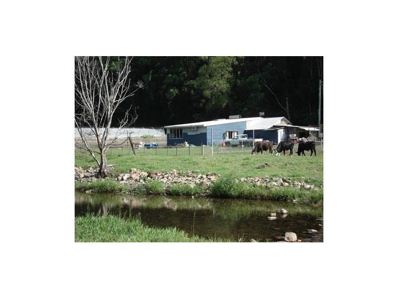 620 Upper Crystal Creek Road, Upper Crystal Creek NSW 2484