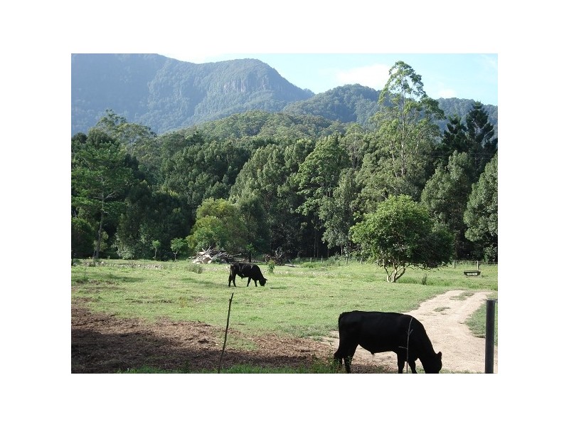 620 Upper Crystal Creek Road, Upper Crystal Creek NSW 2484