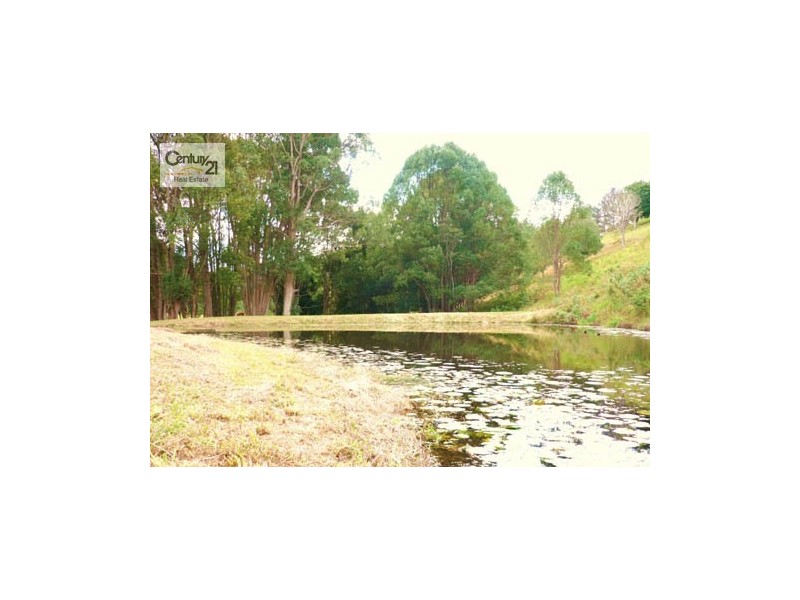 Murwillumbah NSW 2484